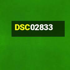 DSC02833