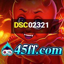 DSC02321