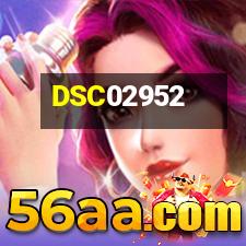 DSC02952