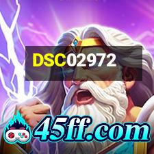 DSC02972