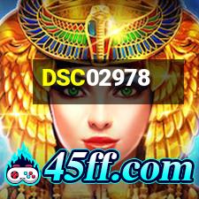 DSC02978